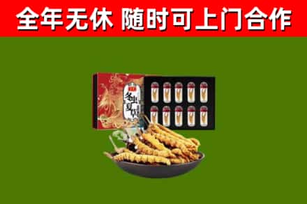 枣庄回收冬虫夏草价格