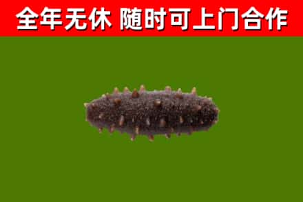 枣庄烟酒回收干海参.jpg