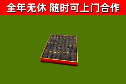 枣庄回收海参